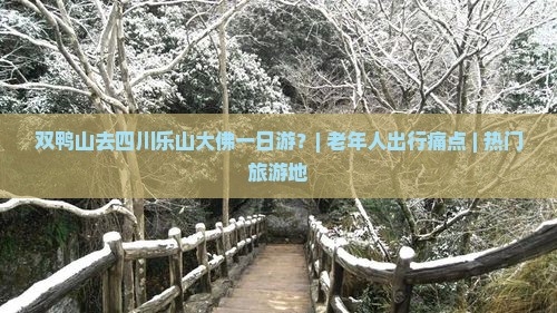 双鸭山去四川乐山大佛一日游？| 老年人出行痛点 | 热门旅游地