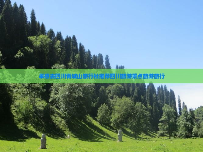 孝感去四川青城山旅行社推荐四川旅游景点旅游旅行