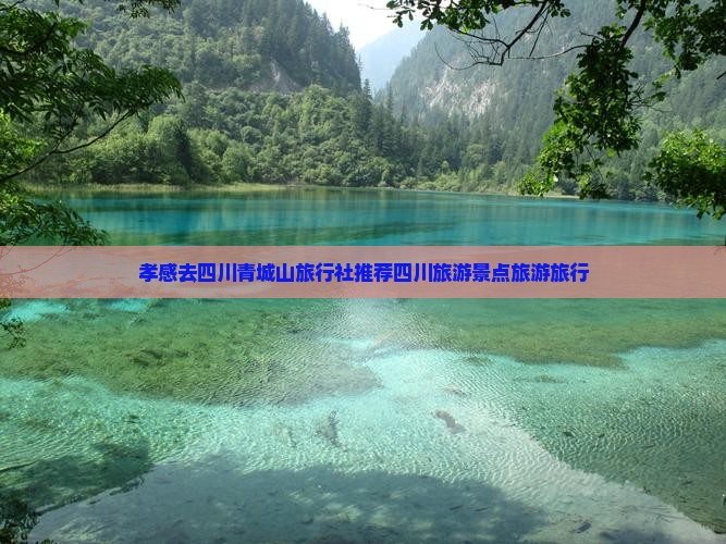 孝感去四川青城山旅行社推荐四川旅游景点旅游旅行