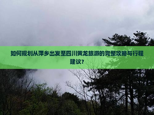 如何规划从萍乡出发至四川黄龙旅游的完整攻略与行程建议？