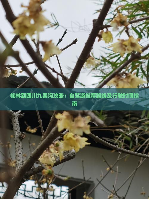 榆林到四川九寨沟攻略：自驾游推荐路线及行驶时间指南