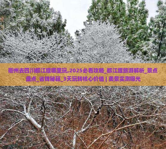衢州去四川都江堰哪里玩