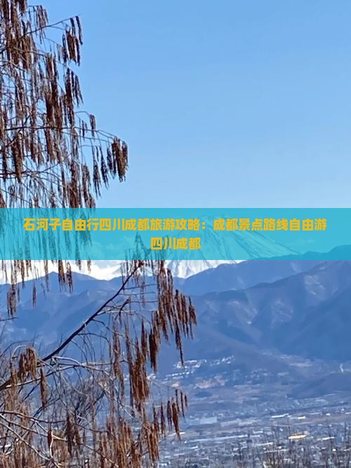 石河子去四川成都旅游