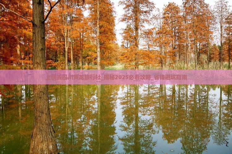 上饶去四川黄龙旅行社