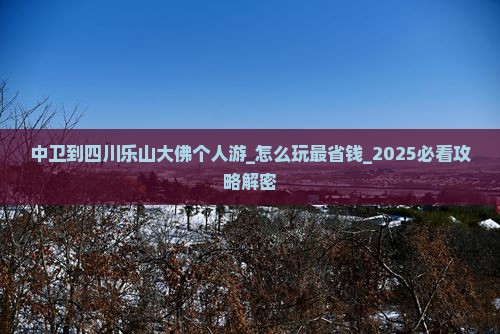 中卫到四川乐山大佛个人游