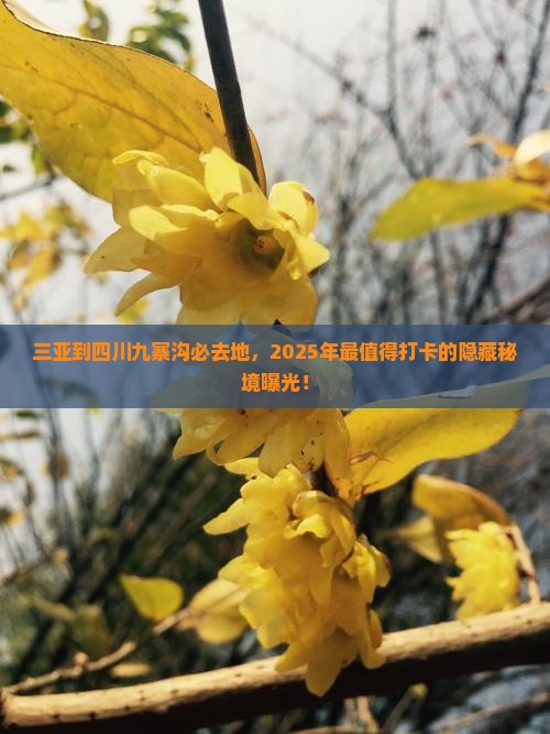 三亚到四川九寨沟必去地