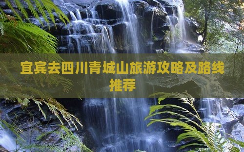 宜宾去四川青城山景点