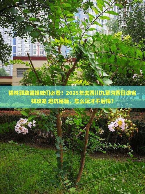 锡林郭勒盟去四川九寨沟四日游