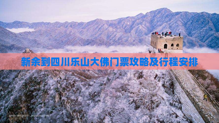 新余到四川乐山大佛门票