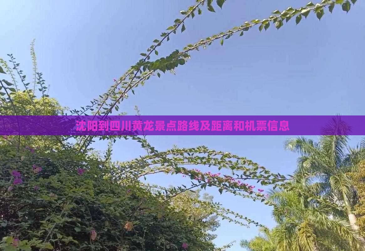 沈阳到四川黄龙景点