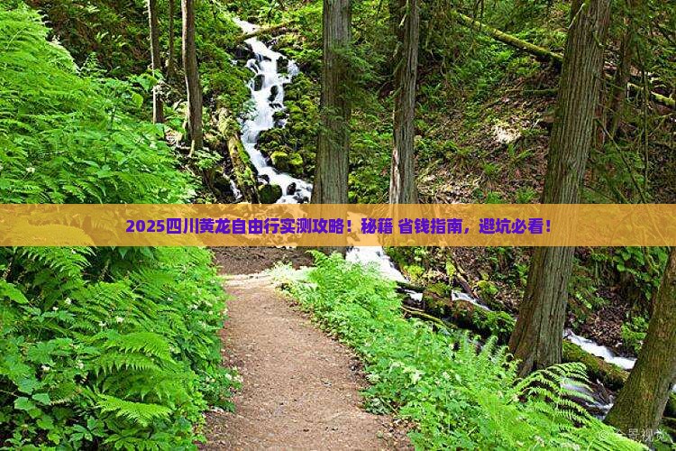 七月到四川黄龙自由行