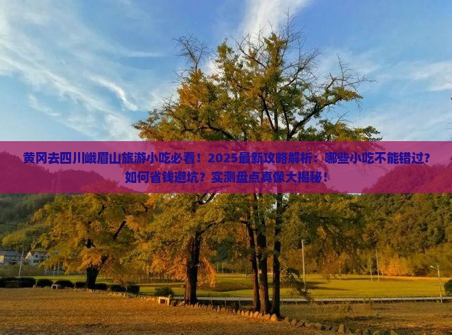 黄冈去四川峨眉山旅游小吃