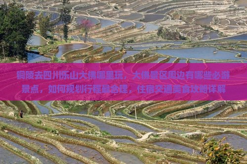 铜陵去四川乐山大佛哪里玩