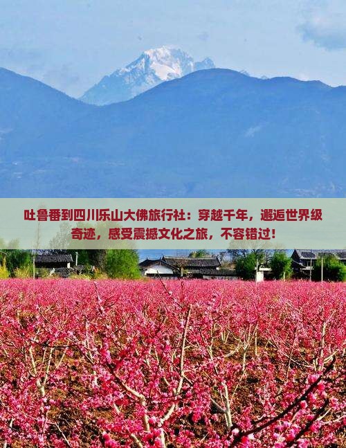 吐鲁番到四川乐山大佛旅行社