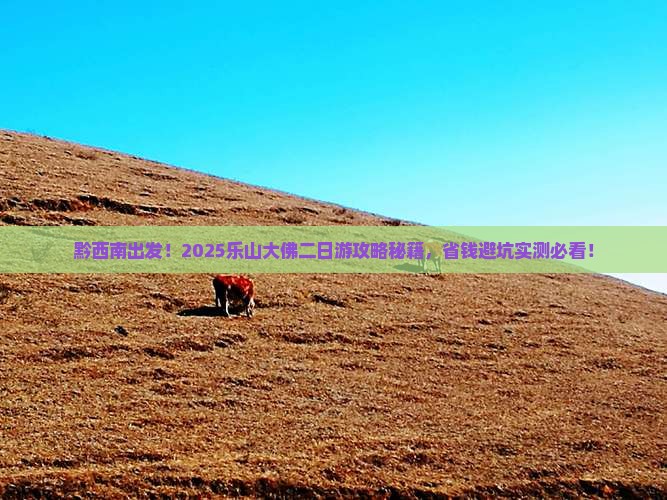 黔西南去四川乐山大佛二日游