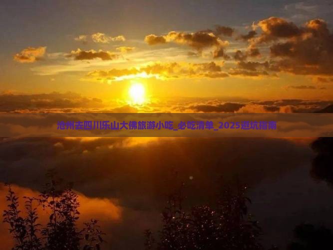沧州去四川乐山大佛旅游小吃