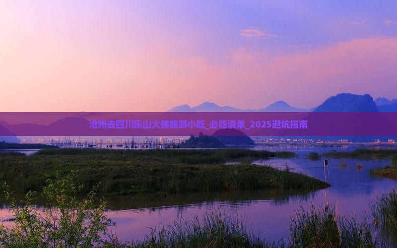 沧州去四川乐山大佛旅游小吃