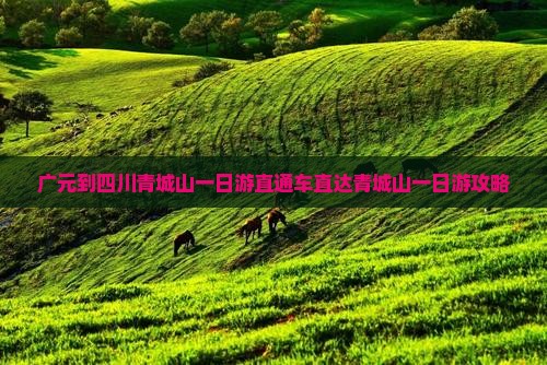 广元到四川青城山一日