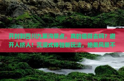 开封到四川九寨沟景点