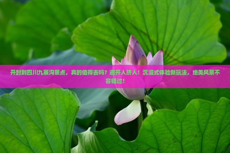 开封到四川九寨沟景点