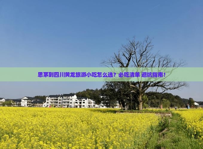 思茅到四川黄龙旅游小吃