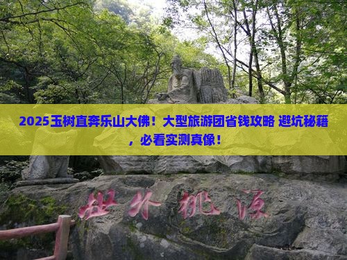 玉树去四川乐山大佛大型旅游团