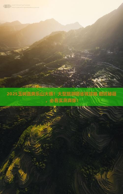 玉树去四川乐山大佛大型旅游团