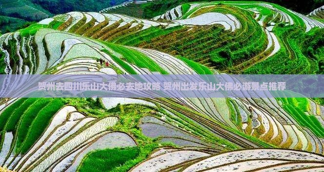 贺州去四川乐山大佛必去地