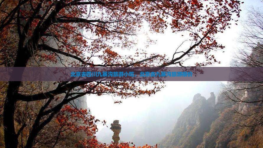 北京去四川九寨沟旅游小吃