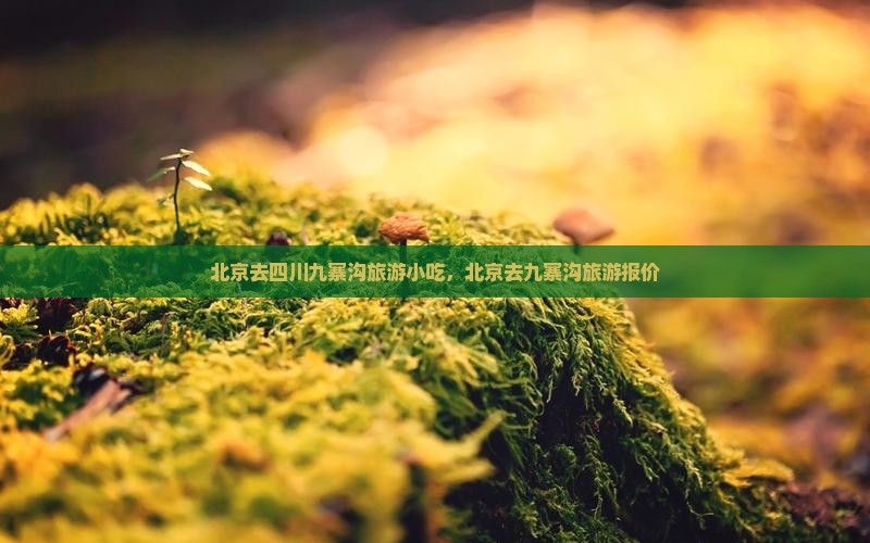 北京去四川九寨沟旅游小吃