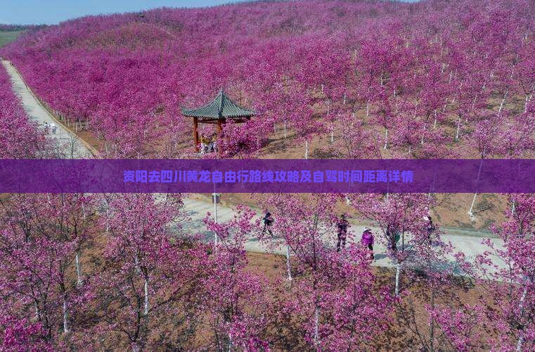 资阳去四川黄龙自由行