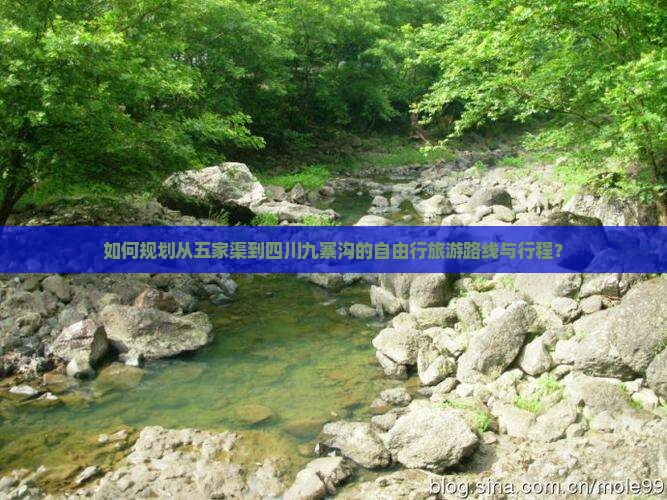 如何规划从五家渠到四川九寨沟的自由行旅游路线与行程？
