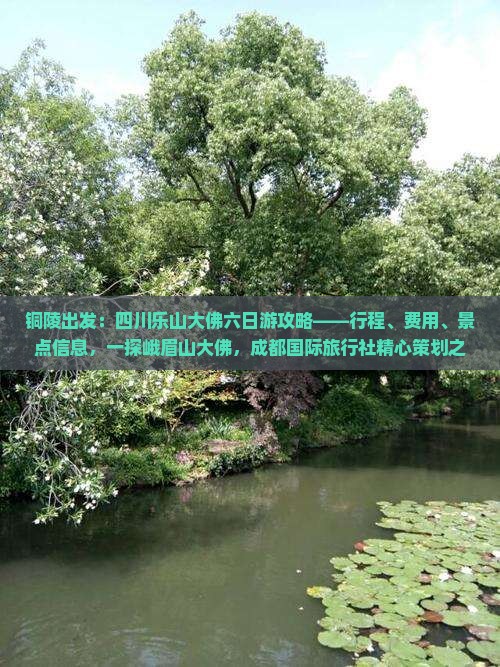 铜陵出发：四川乐山大佛六日游攻略——行程、费用、景点信息，一探峨眉山大佛，成都国际旅行社精心策划之旅