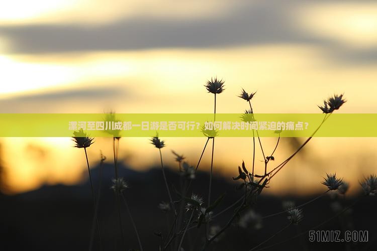 漯河至四川成都一日游是否可行？如何解决时间紧迫的痛点？