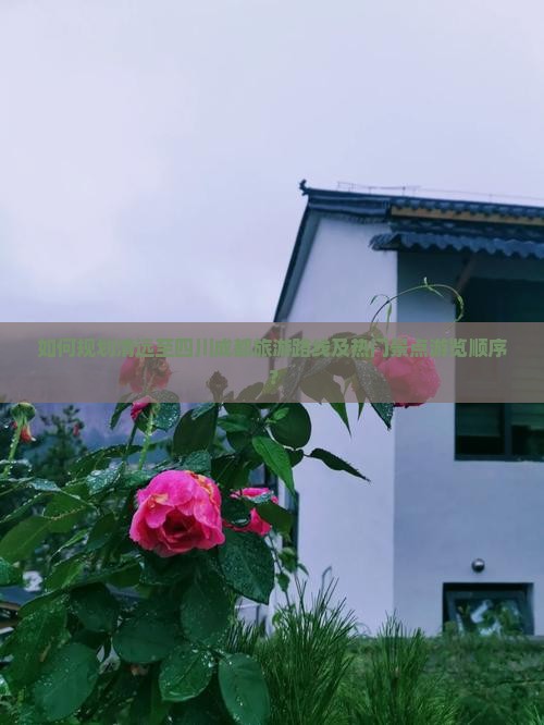 如何规划清远至四川成都旅游路线及热门景点游览顺序？