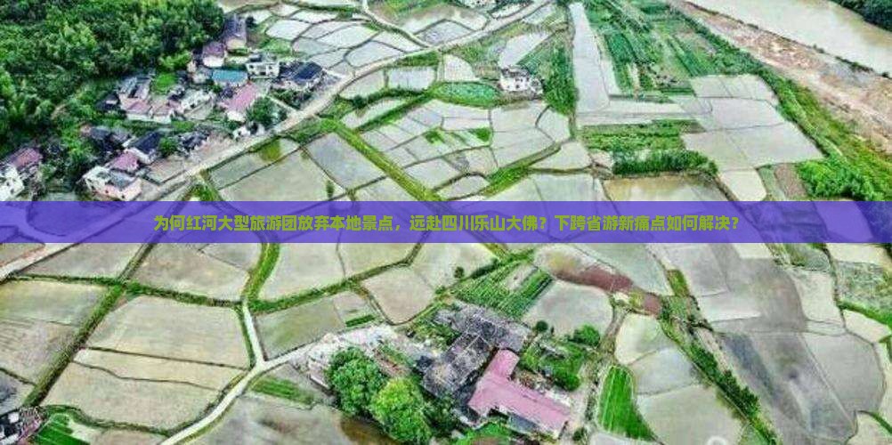 为何红河大型旅游团放弃本地景点，远赴四川乐山大佛？下跨省游新痛点如何解决？