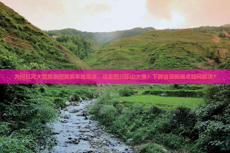 为何红河大型旅游团放弃本地景点，远赴四川乐山大佛？下跨省游新痛点如何解决？