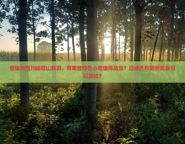 楚雄到四川峨眉山旅游，有哪些特色小吃值得品尝？沿途还有哪些美食可以尝试？