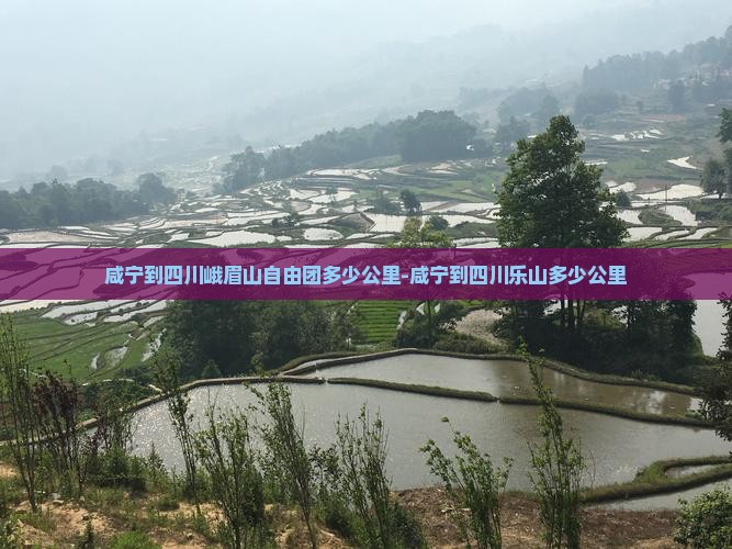 咸宁到四川峨眉山自由团多少公里-咸宁到四川乐山多少公里