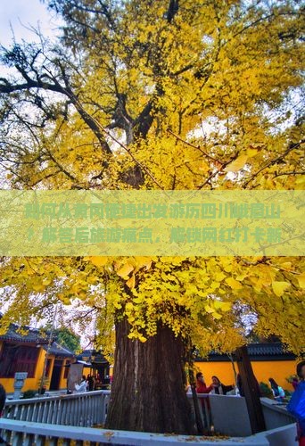 如何从黄冈便捷出发游历四川峨眉山？解答后旅游痛点，解锁网红打卡新姿势！