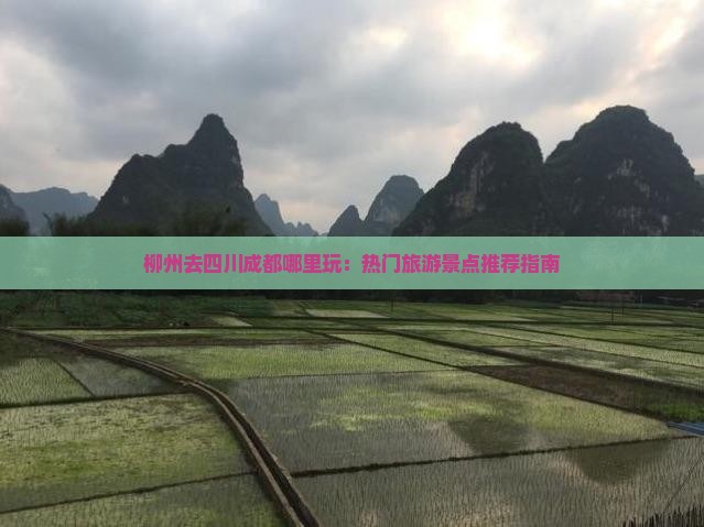柳州去四川成都哪里玩：热门旅游景点推荐指南
