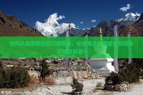 如何从临夏前往四川峨眉山，必去景点有哪些新鲜玩法和痛点规避？