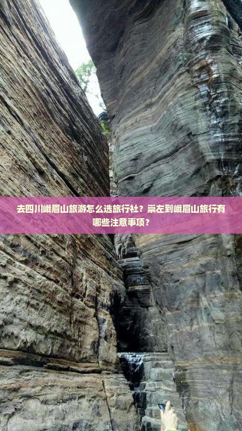 去四川峨眉山旅游怎么选旅行社？崇左到峨眉山旅行有哪些注意事项？
