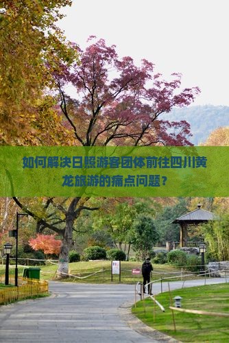 如何解决日照游客团体前往四川黄龙旅游的痛点问题？