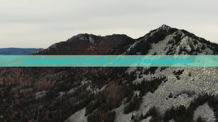 如何从武夷山出发选择旅行社前往四川成都？哪些旅行社提供武夷山至成都的旅游服务？
