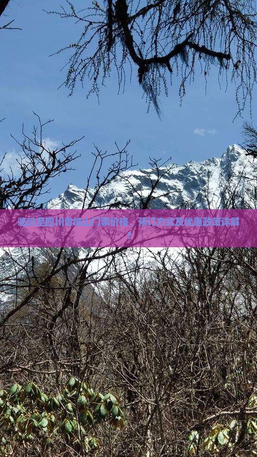 临汾至四川青城山门票价格、预订方式及优惠政策详解？
