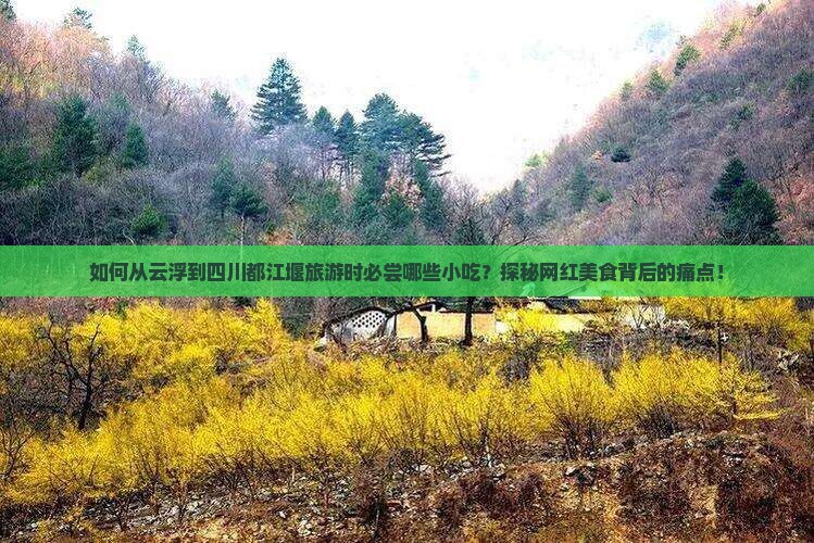 如何从云浮到四川都江堰旅游时必尝哪些小吃？探秘网红美食背后的痛点！
