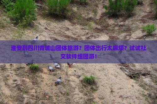 淮安到四川青城山团体旅游？团体出行太麻烦？试试社交软件组团游！