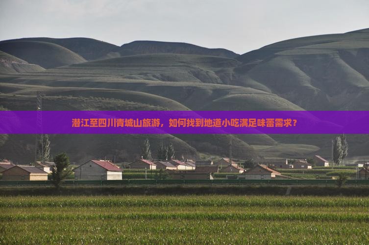 潜江至四川青城山旅游，如何找到地道小吃满足味蕾需求？