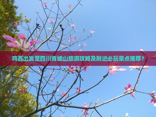 鸡西出发至四川青城山旅游攻略及附近必玩景点推荐? 鸡西出发至四川青城山旅游攻略及附近必玩景点推荐?